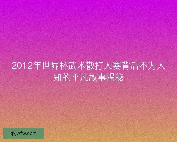 2012年世界杯武术散打大赛背后不为人知的平凡故事揭秘
