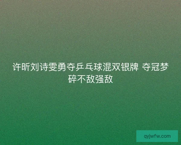 许昕刘诗雯勇夺乒乓球混双银牌 夺冠梦碎不敌强敌